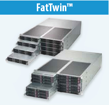 FatTwin™